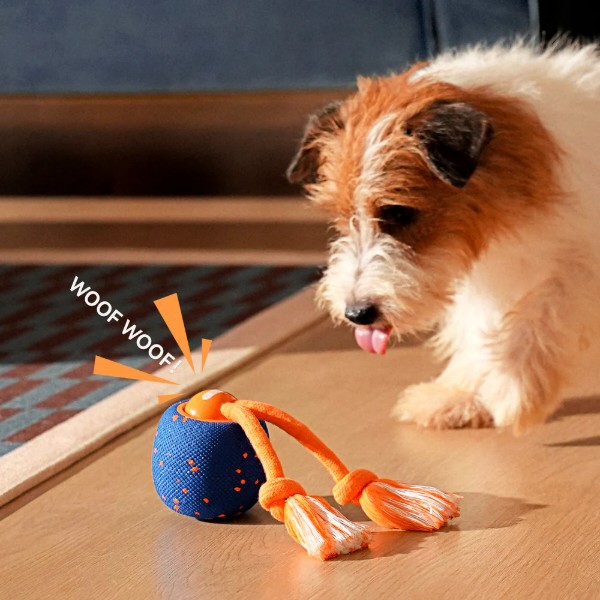 Фото - Интерактивная игрушка для собак Cheerble Wicked Ball Rolly Royal Blue (CWQ07B)