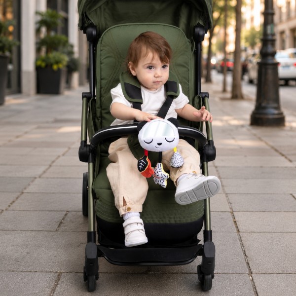 Фото - М'яка іграшка Chicco Чорно-біле дзеркальце (12552.00)