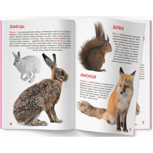 Фото - Crystal Book Большая книга. Дикие животные. (9786177352586)