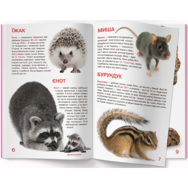 Фото - Crystal Book Большая книга. Дикие животные. (9786177352586)