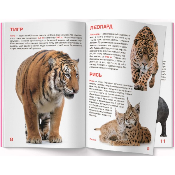 Фото - Crystal Book Большая книга. Дикие животные. (9786177352586)