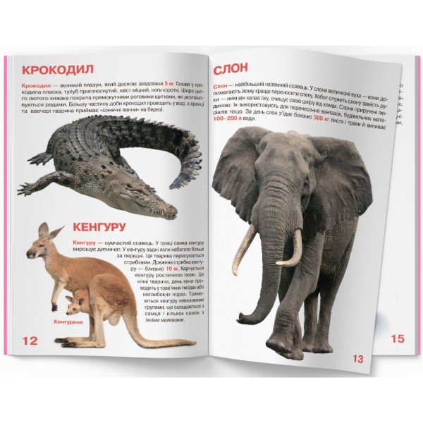 Фото - Crystal Book Большая книга. Дикие животные. (9786177352586)