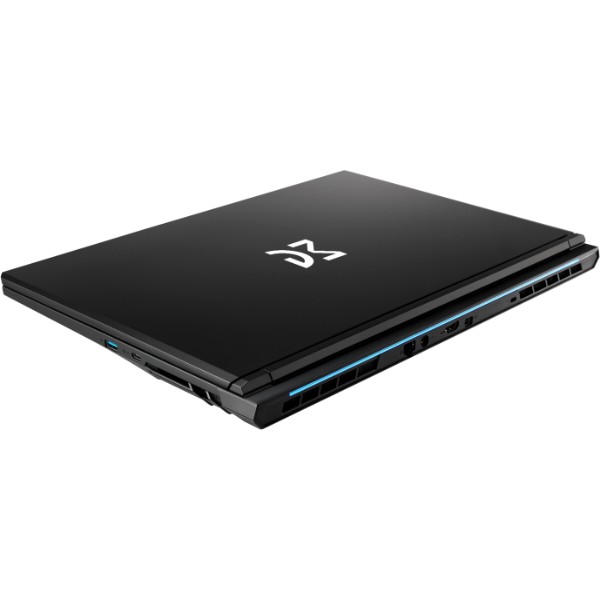 Фото - Ноутбук игровой Dream Machines RG5050-17 (RG5050-17UA34) Black