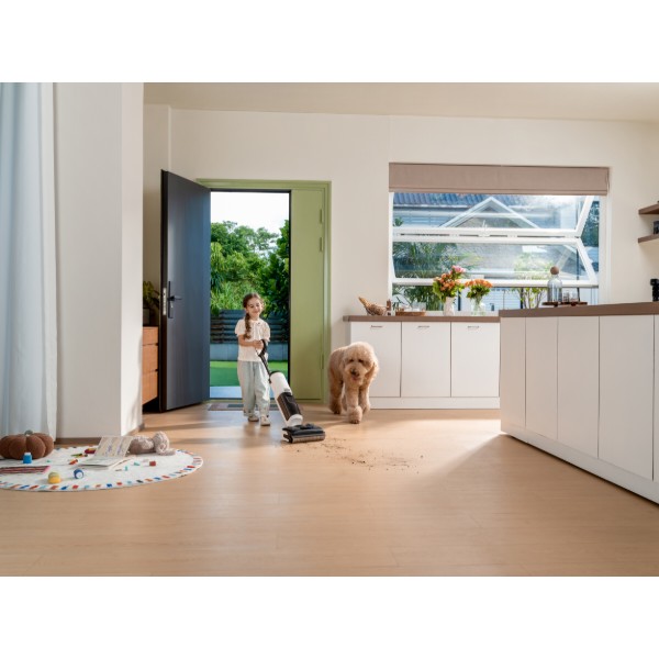 Фото - Пилосос ручний миючий Tineco Floor One S5 Max (FW480100DE)