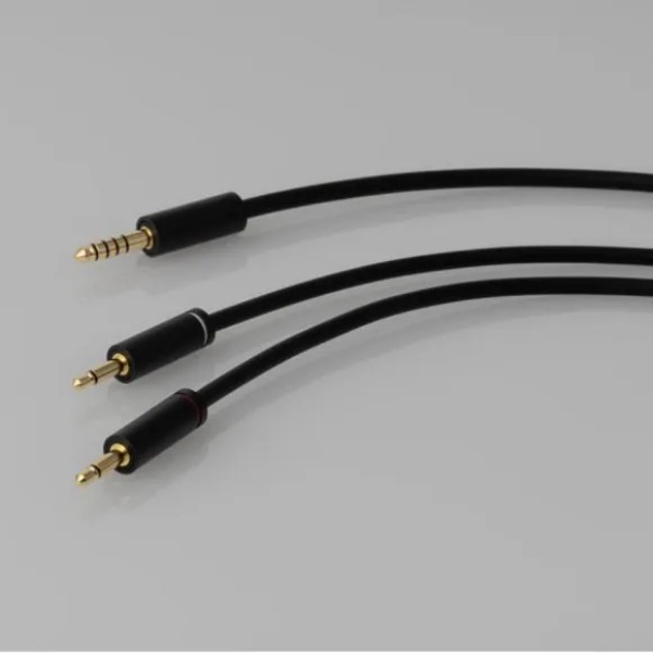 Фото - Наушники полноразмерные проводные Final Audio DX3000 CL Black