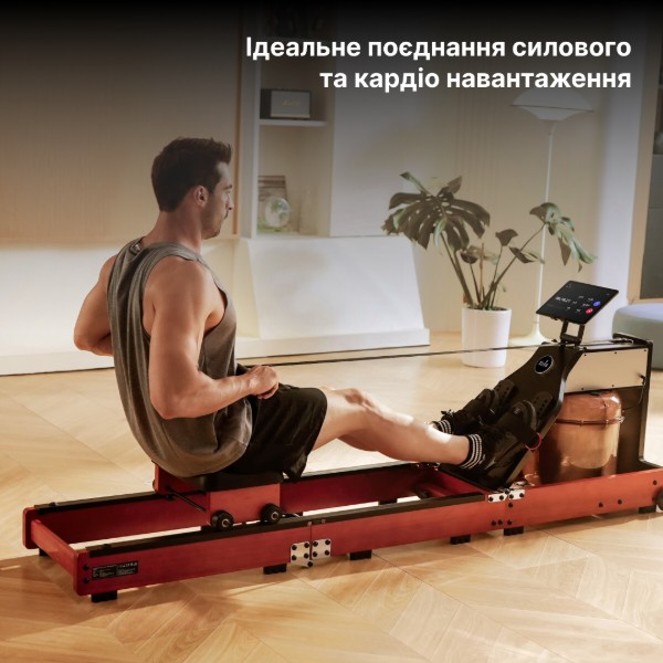 Фото - Гребной тренажер KingSmith WM10 (RMWM10F) черный орех