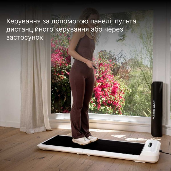 Фото - Дорожка для ходьбы KingSmith WalkingPad С2 Black