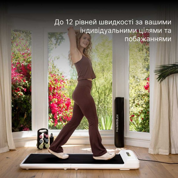Фото - Дорожка для ходьбы KingSmith WalkingPad С2 Black