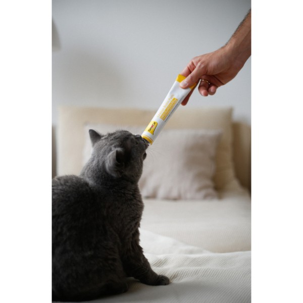 Фото - Ласощі для котів GimCat Cheese Biotin Paste усіх порід cирна з біотином 100 г (4002064401010)