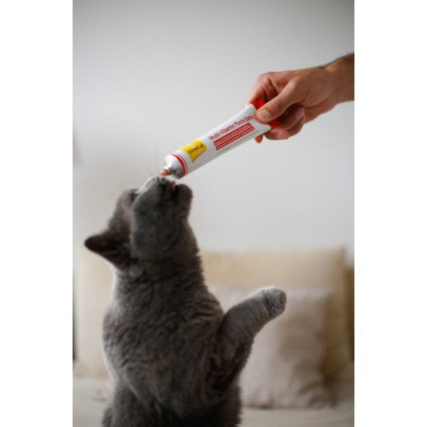 Фото - Паста витаминизированная для кошек GimCat Мультивитаминная Extra 100 гр (4002064401324)
