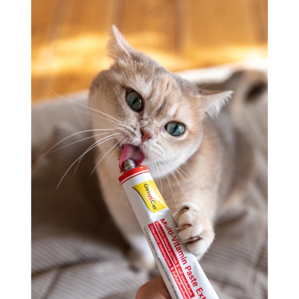 Фото - Паста витаминизированная для кошек GimCat Мультивитаминная Extra 100 гр (4002064401324)
