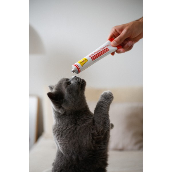 Фото - Паста витаминизированная для кошек GimCat Мультивитаминная Extra 200 гр (4002064401898)