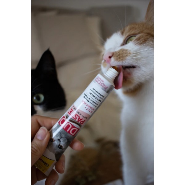 Фото - Паста для кошек GimCat DUO PASTE Anti-hairboll malt with chicken 50г (4002064427201)