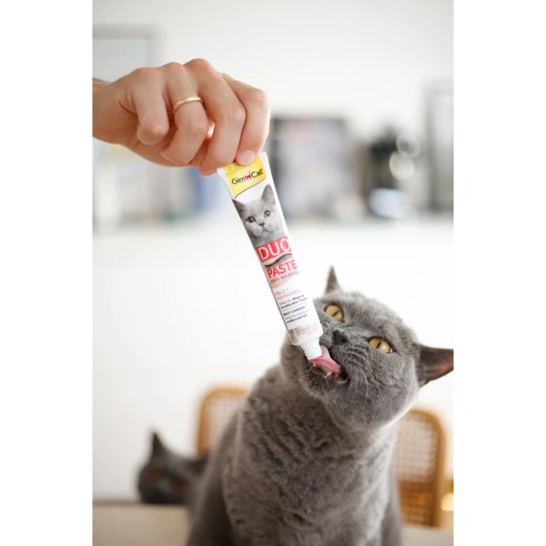 Фото - Паста для кошек GimCat DUO PASTE Anti-hairboll malt with chicken 50г (4002064427201)