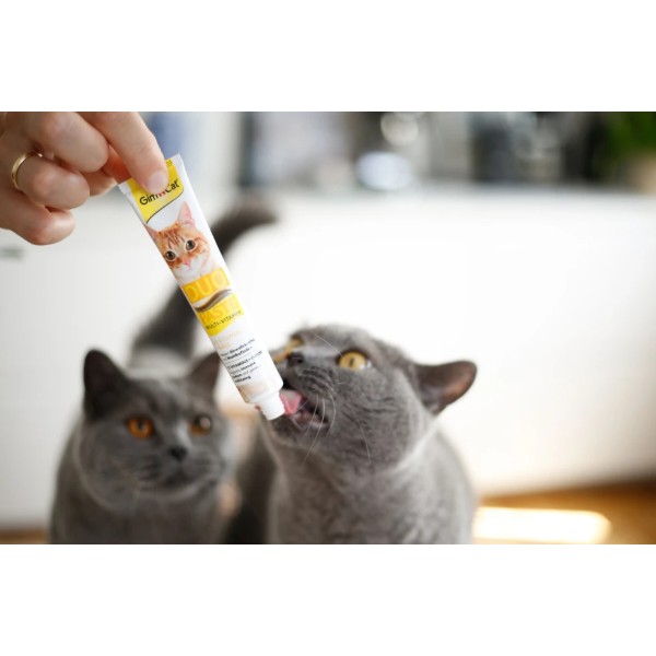 Фото - Паста для кошек GimCat DUO PASTE Multi-vitamin 12 vitamins with cheese 50 г (4002064421841)