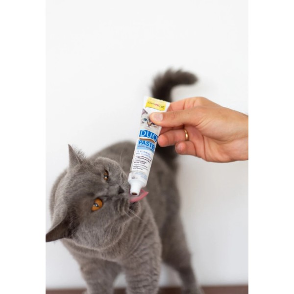 Фото - Паста для кошек GimCat DUO PASTE Multi-vitamin 12 vitamins with tuna 50 г (4002064421858)