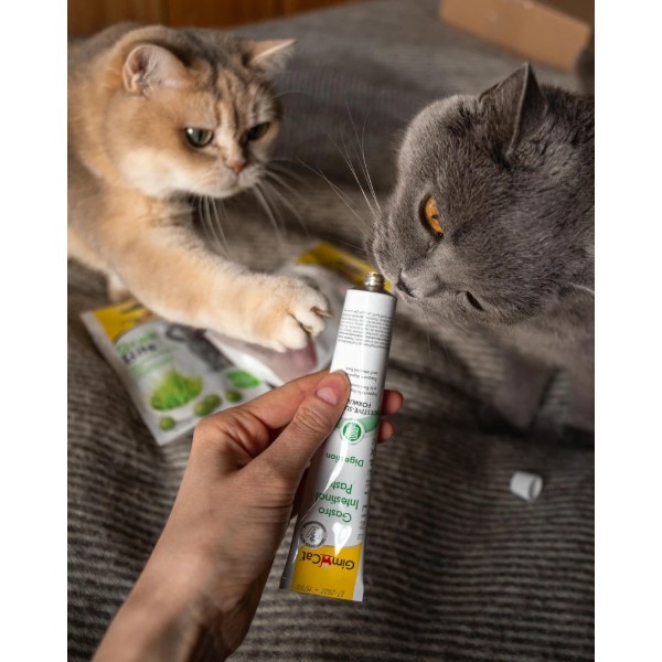 Фото - Витамины для кошек GimCat Expert Line Gastro Intestinal паста для улучшения пищеварения 50 г (4002064920146)