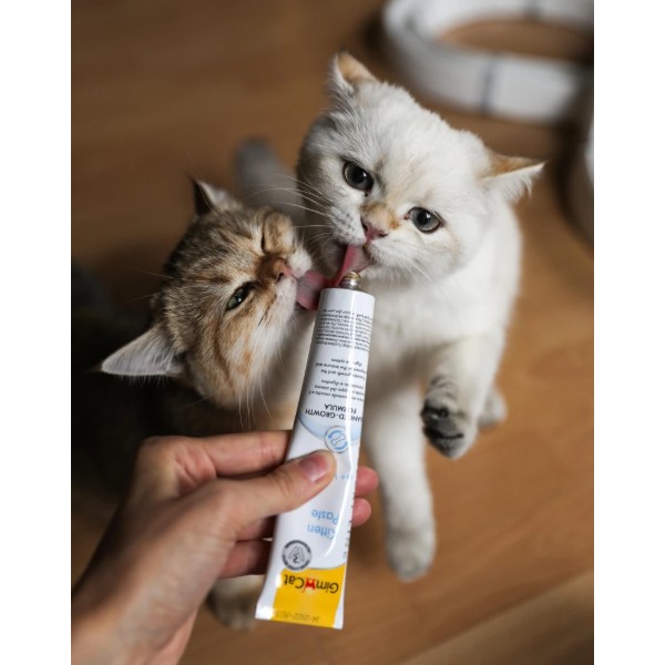 Фото - Вітаміни для котів GimCat Expert Line Kitten вітамінізована паста 50 г (4002064920191)