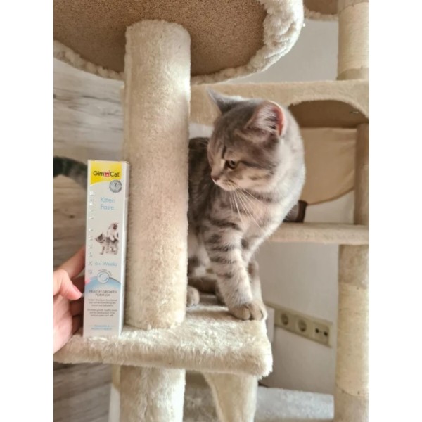 Фото - Вітаміни для котів GimCat Expert Line Kitten вітамінізована паста 50 г (4002064920191)