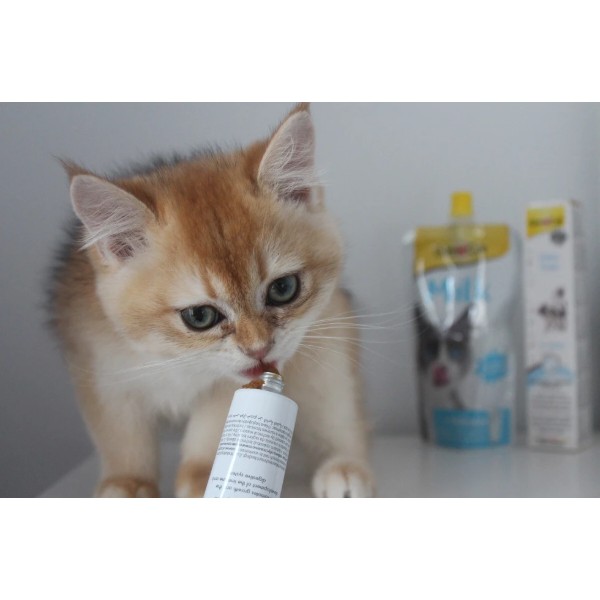 Фото - Вітаміни для котів GimCat Expert Line Kitten вітамінізована паста 50 г (4002064920191)