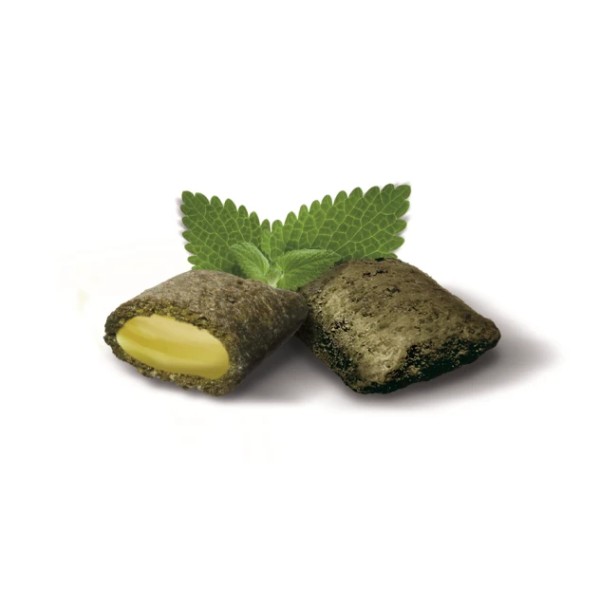 Фото - Витамины для кошек GimCat Nutri Pockets для повышения иммунитета с кошачьей мятой и мультивитамином 60 г (4002064419282)