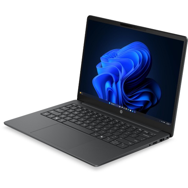 Фото - Ноутбук HP 200-G2a (DV0A4ET) Silver