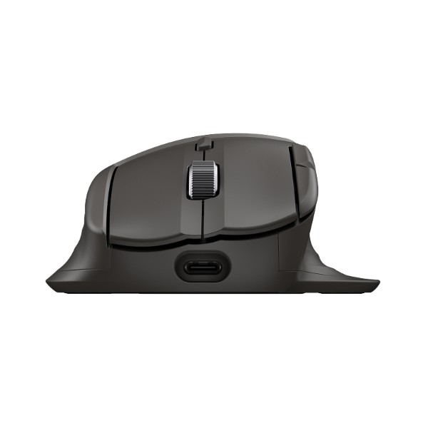Фото - Мышь беспроводная HP 785M BT Mouse (B8YX4AA)
