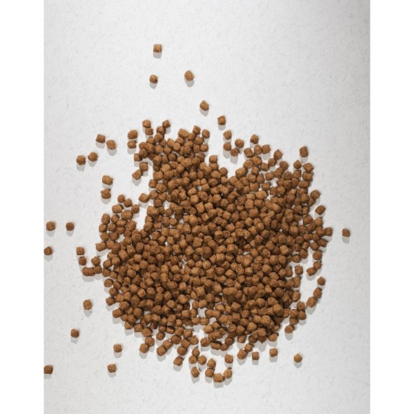 Фото - Сухой корм для кошек Half&Half для котят с говядиной 2 кг (4820261920789)