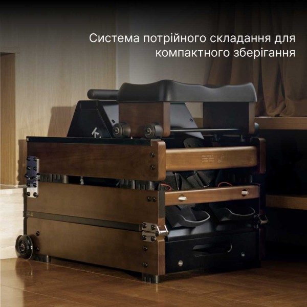 Фото - Гребной тренажер KingSmith WR20 (RMWR20F) красный дуб