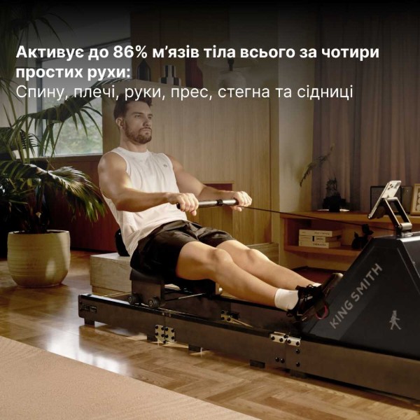 Фото - Гребной тренажер KingSmith WR20 (RMWR20F) красный дуб