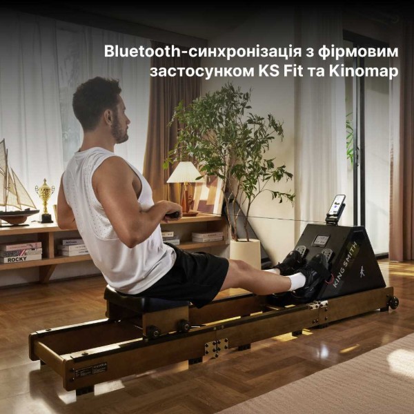 Фото - Гребной тренажер KingSmith WR20 (RMWR20F) красный дуб