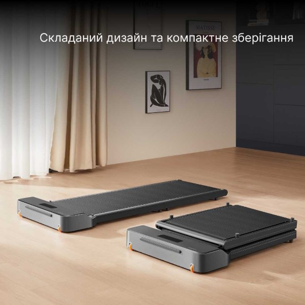 Фото - Бігова доріжка KingSmith WalkingPad Z1F