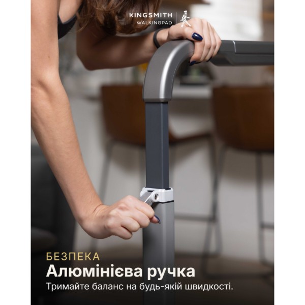 Фото - Бігова доріжка KingSmith Walkingpad&Treadmill R2 Black