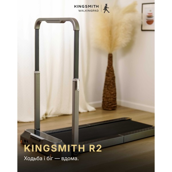 Фото - Бігова доріжка KingSmith Walkingpad&Treadmill R2 Black