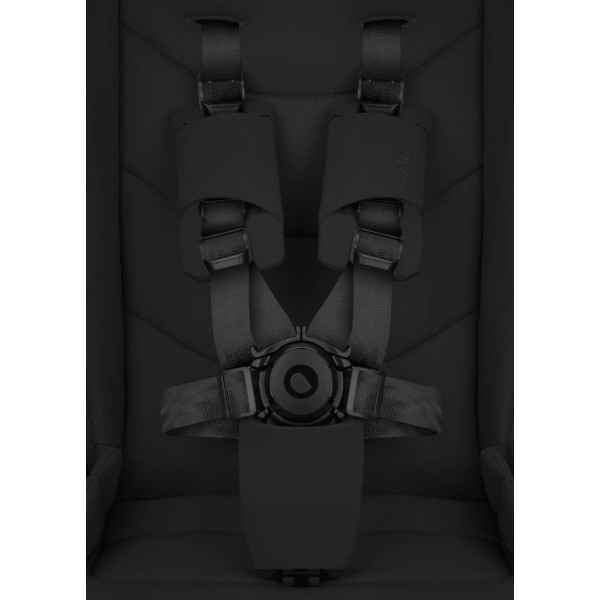 Фото - Коляска універсальна 3 в 1 Lionelo Carmine 3IN1 Black Onyx