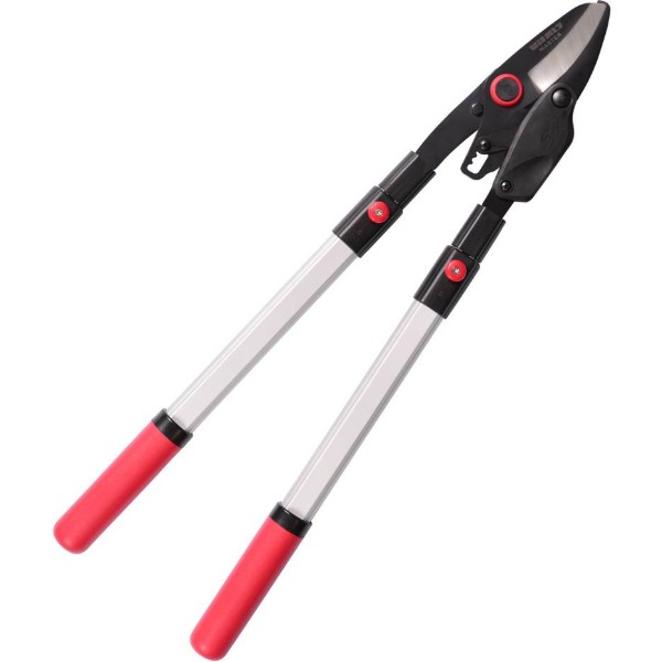 Фото - Сучкорез VITALS Master LS-910-02RT