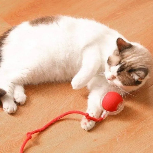 Фото - Інтерактивна іграшка для котів Me&Pet м'яч з мотузкою Red (NMP-47R)