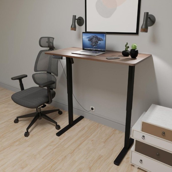 Фото - Стіл з електрорегулюванням висоти Mealux PowerDesk Lite XL Walnut (EVO-202 Lite Walnut/B)