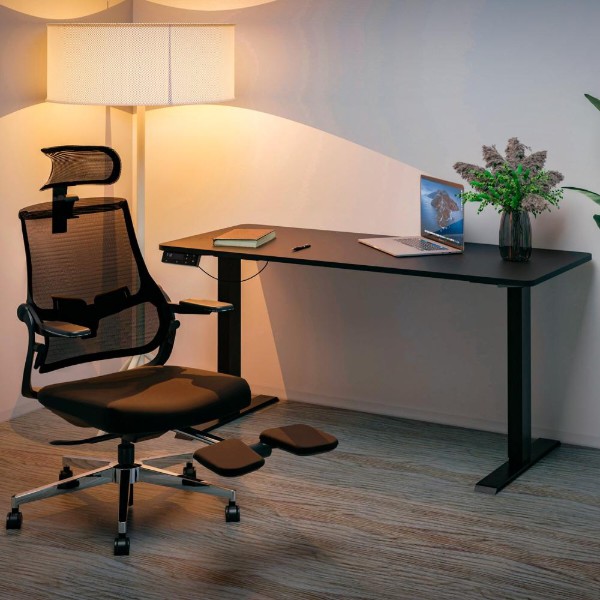 Фото - Стіл з електрорегулюванням висоти Mealux PowerDesk Duo XL Black (EVO-252 Duo B/B)