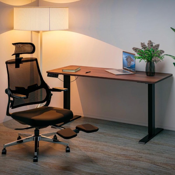 Фото - Стол с электрорегулировкой высоты Mealux PowerDesk Duo XL Walnut (EVO-252 Duo Walnut/B)