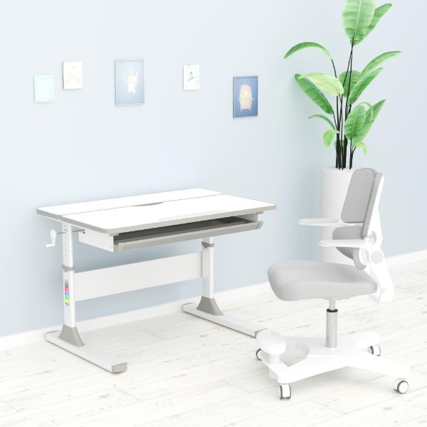 Фото - Парта школьная Mealux Edmonton Multicolor BL Lite (BD-610 W/MC + BL Lite)