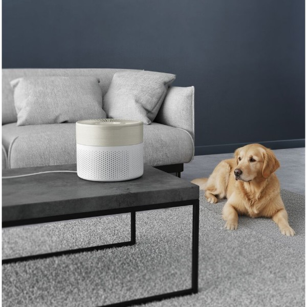 Фото - Очищувач повітря Rowenta PU1521F0 PURE AIR MI