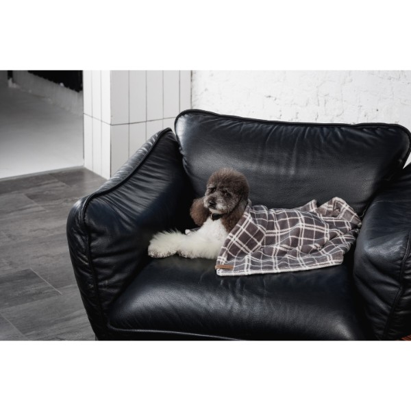 Фото - Леженка Pet Fashion Bliss 2 серый клетчатый 70.5х94 см (4823082441310)
