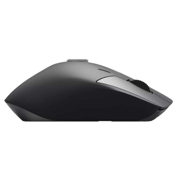 Фото - Мышь беспроводная Rapoo MT760L Black