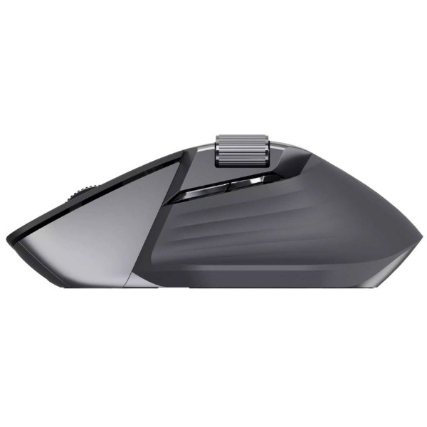 Фото - Мышь беспроводная Rapoo MT760L Black