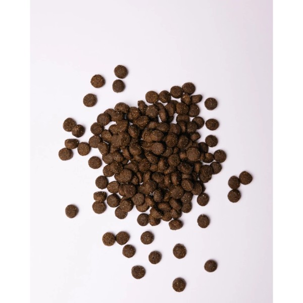 Фото - Сухой корм для собак Savory Adult All Breeds rich in Fresh Duck and Rabbit со свежей уткой и кроликом 3 кг (4820232630174)