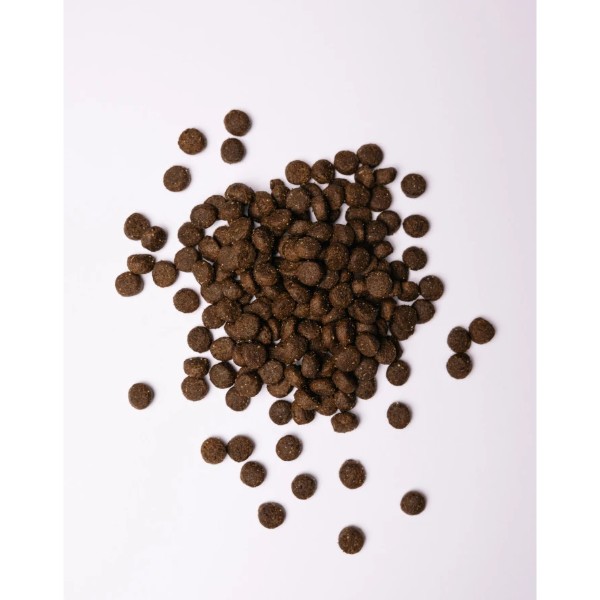 Фото - Сухой корм для собак Savory Adult All Breeds rich in Fresh Duck and Rabbit со свежей уткой и кроликом 12 кг (4820232630181)