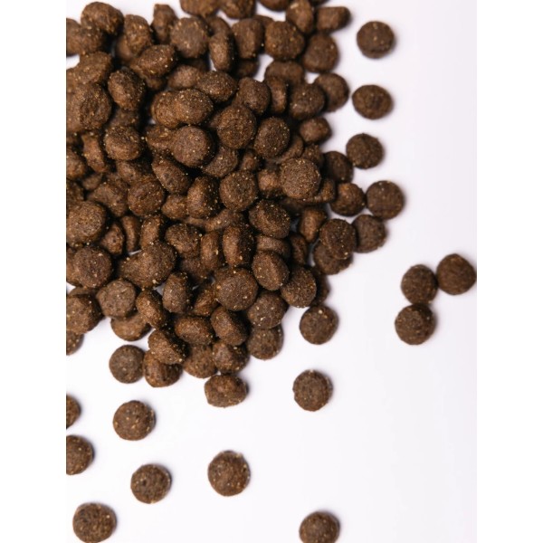 Фото - Сухой корм для собак Savory Adult All Breeds rich in Fresh Duck and Rabbit со свежей уткой и кроликом 1 кг (4820232630167)