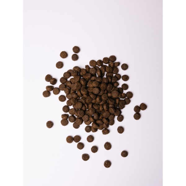Фото - Сухой корм для собак Savory Adult All Breeds rich in Fresh Duck and Rabbit со свежей уткой и кроликом 1 кг (4820232630167)