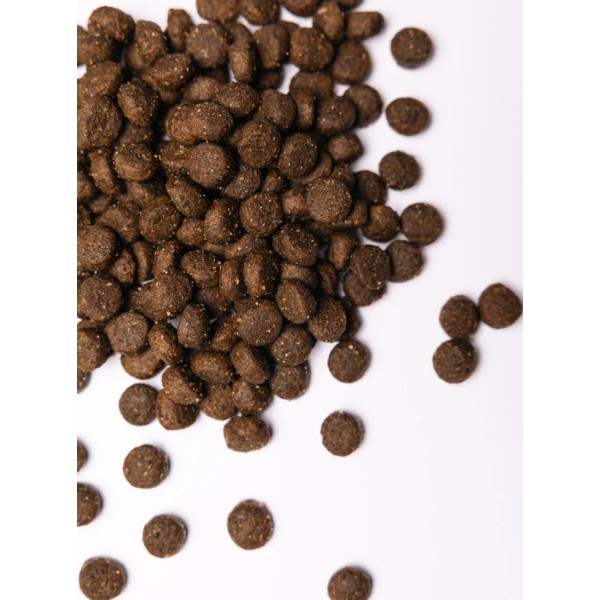 Фото - Сухой корм для собак Savory Adult All Breeds rich in Fresh Duck and Rabbit со свежей уткой и кроликом 12 кг (4820232630181)